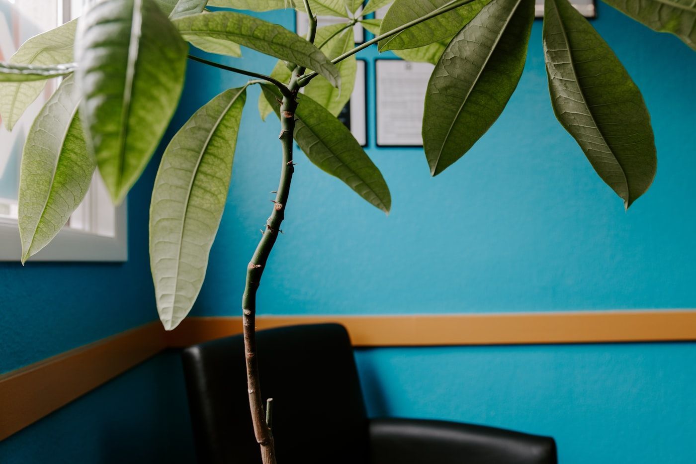 Green throughout the space at Trio Mindspace, Powai